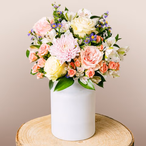 Infinite Strengh: Anastasia and Aster Infinite Strengh: Anastasia and Aster