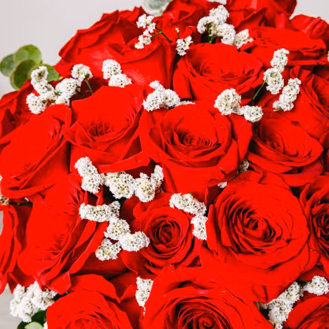 Endless Passion: 30 Red Roses highlight Endless Passion: 30 Red Roses highlight