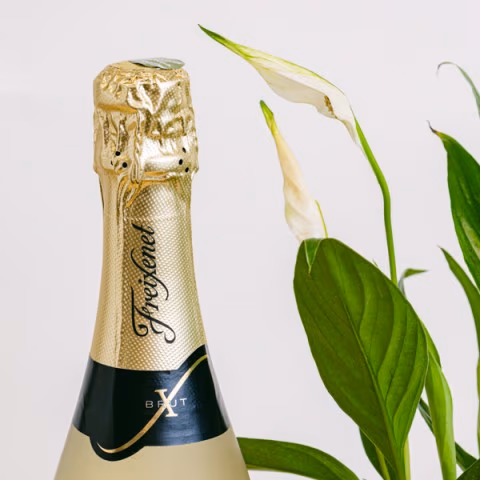 Celebrate Life: Cava & Chocolates Delight highlight