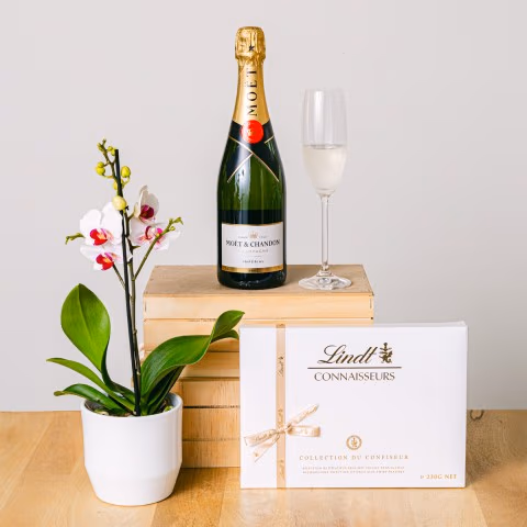 Sweet Marvel: Orchid and Praline Selection