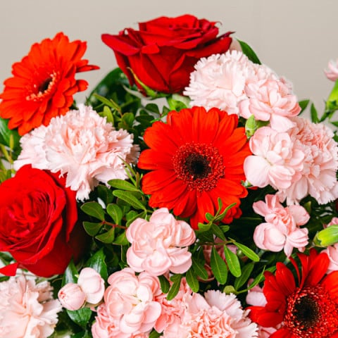 Soul Love: Roses and Gerberas highlight