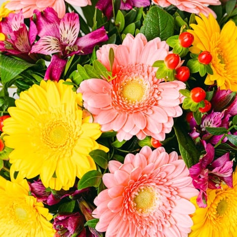 Full of Life: Gerberas and Alstroemerias highlight