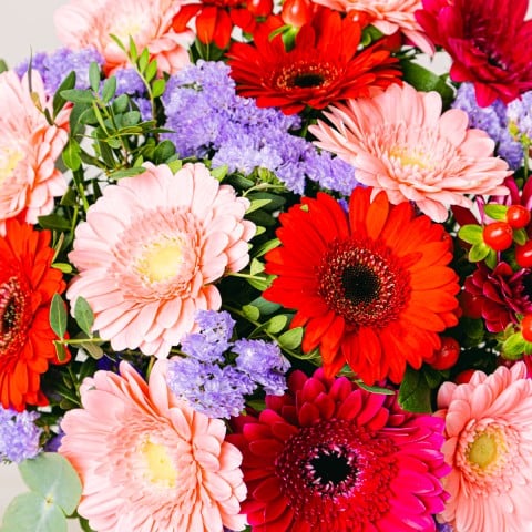 Colorful Cocktail: Pink and red gerberas highlight Colorful Cocktail: Pink and red gerberas highlight