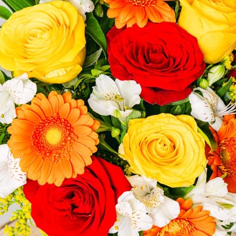 Floral Energy: Mixed Orange Flowers highlight