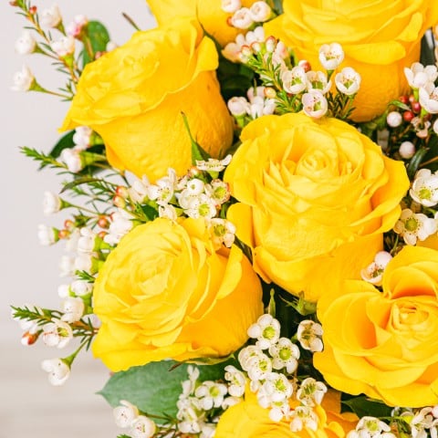 My Sunshine: Yellow Roses highlight My Sunshine: Yellow Roses highlight