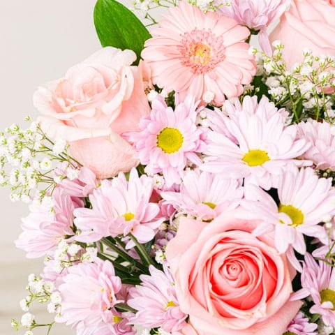 Dressed in Pink: Roses and Gerberas highlight Dressed in Pink: Roses and Gerberas highlight