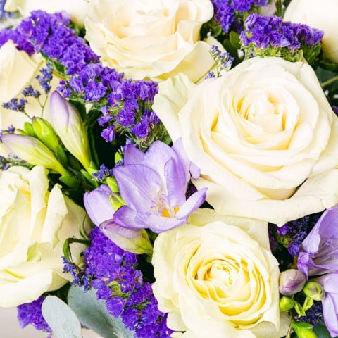 Elegant Beauty: Roses and Freesias highlight Elegant Beauty: Roses and Freesias highlight