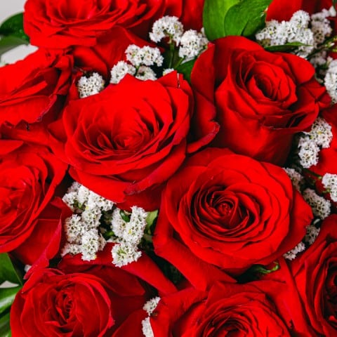 Classic Love: 12 Red Roses highlight