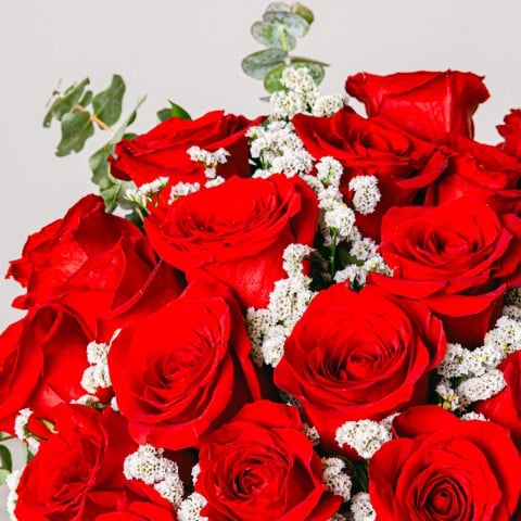 Embrace of Love: 20 Red Roses highlight