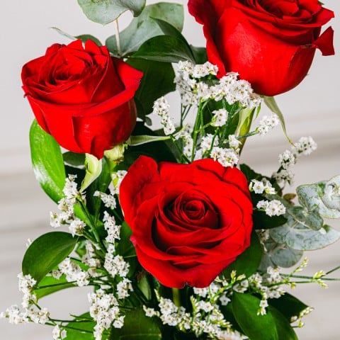 Romantic Reminder: Red Roses highlight