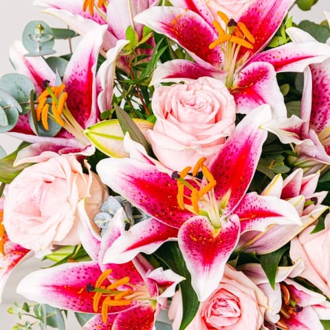 Subtle Freshness: Roses and Lilies highlight Subtle Freshness: Roses and Lilies highlight